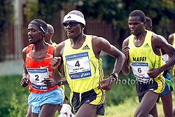 Komen-CheronoH-Venice09.jpg