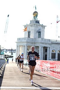 StatueBridge-Venice09.jpg