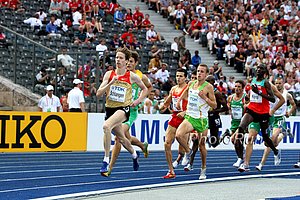 Schlangen_CarstenQ-WC09.jpg