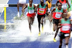 SteepleMotion-WChs09.jpg