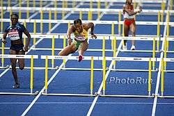 Foster-Hylton_BrigFH-WCh09.jpg