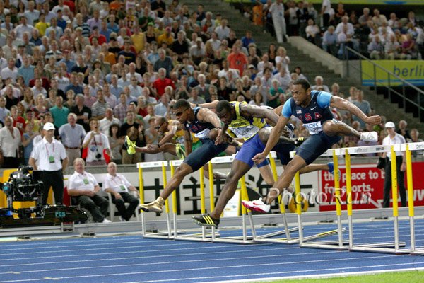 M-110H-Hurdle-WC09.jpg