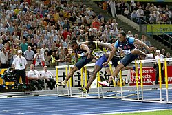 M-110H-Hurdle-WC09.jpg