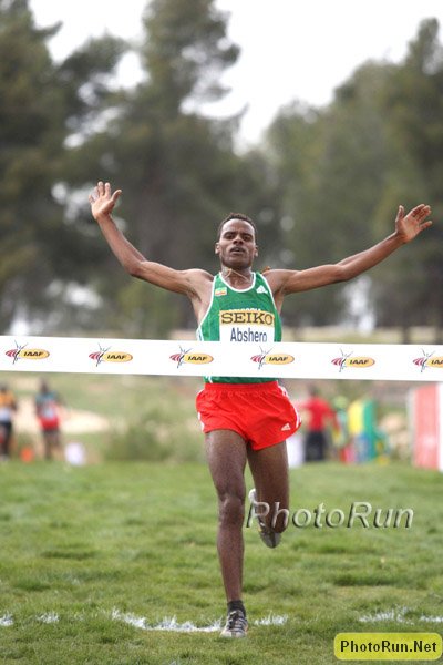Abshero_AyeleFV2-WorldXC09.jpg
