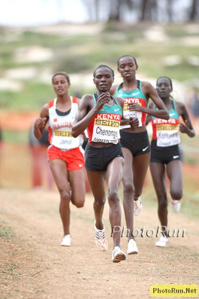 Chenonge_Iness-WorldXC09.jpg