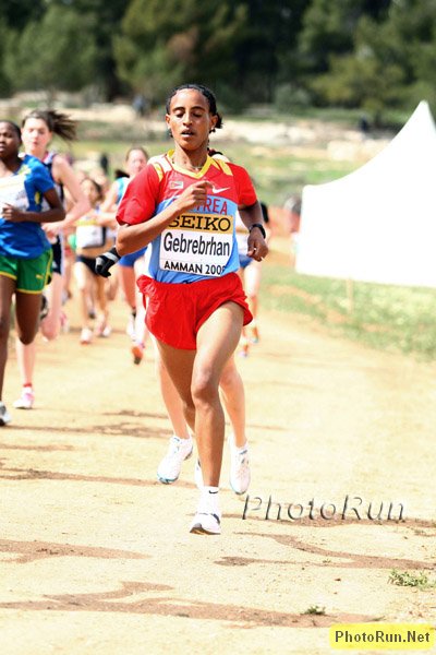 Gebrehrhan_Tsige-WorldXC09.jpg