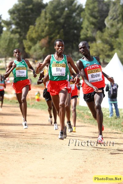 Mbishei-Biftu-WorldXC09.jpg
