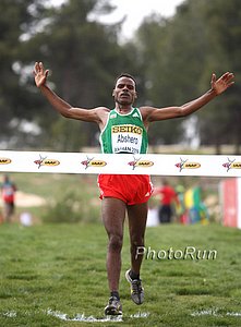 Abshero_AyeleFV-WorldXC09.jpg