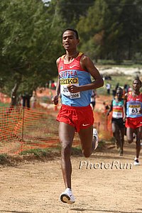 Andom_Mulue1-WorldXC09.jpg