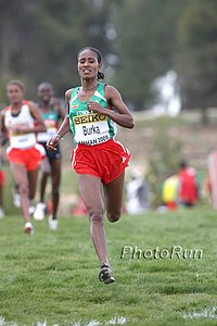Burka_Gelete-WorldXC09.jpg