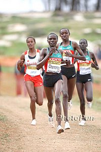Chenonge_Iness-WorldXC09.jpg