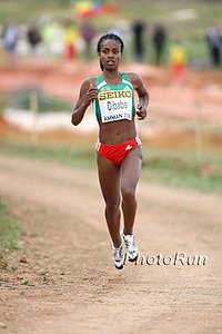 Dibaba_Genzebe-WorldXC09.jpg