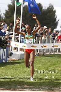 Dibaba_GenzebeFV1a-W#53E2F5.jpg