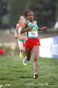 Ejigu_Sentayehu2-WorldXC09.jpg