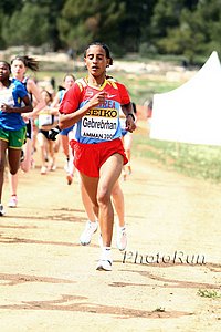 Gebrehrhan_Tsige-WorldXC09.jpg