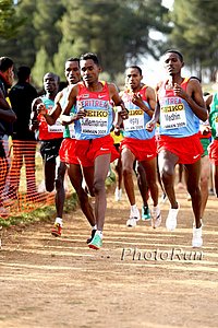 Kiflemariam_Samson-W#53DE2C.jpg