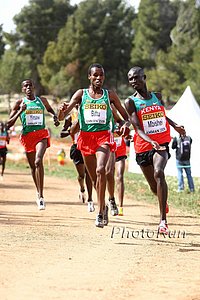 Mbishei-Biftu-WorldXC09.jpg