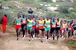 MenStart4-WorldXC09.jpg