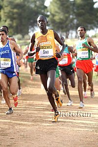 Siwa_Ben-WorldXC09.jpg