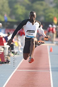 Tamgho_Teddy-nycDL10.JPG
