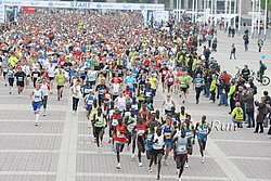 StartElites-Berlin25k10.jpg