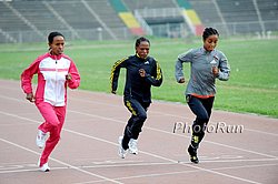 Defar-Melkamu-Sentay#B904D9.jpg