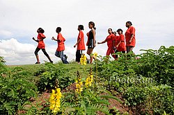 EveryoneRuns1c-Hawasa10.jpg