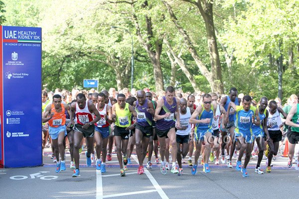 Start-Kidney10.jpg
