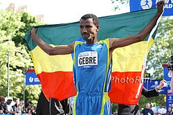 Gebremariam_GebreFL_#B9F0AD.jpg