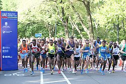 Start-Kidney10.jpg
