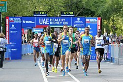 Start1-Kidney10.jpg