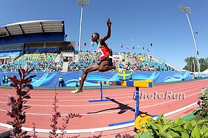 Boys steeplechase prelims