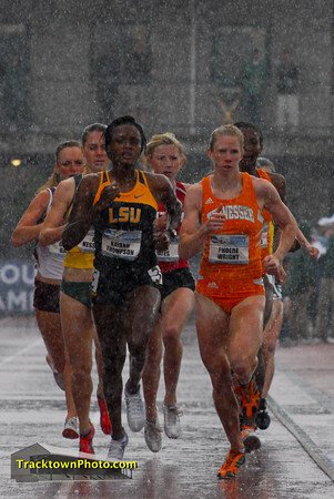 w800prelim.jpg