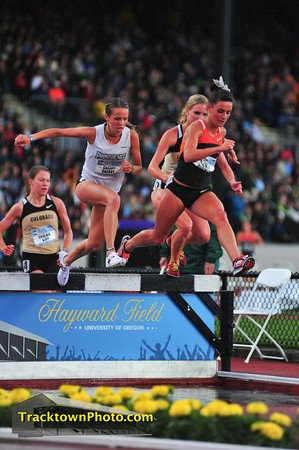 wsteeple1.jpg