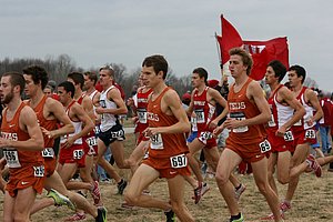 Texas Longhorns