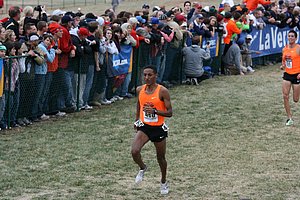 Girma Mecheso