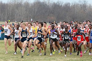 2010 Men's NCAA Cross Country Champs Photos