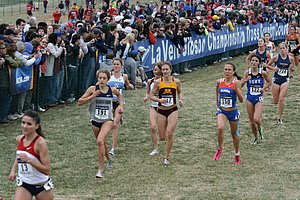 Joanna Stevens Gtown, Nikki Swenson Minnesota, Rebecca Lowe Florida