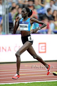 Korikwiang_Pauline1-#BB7E10.jpg
