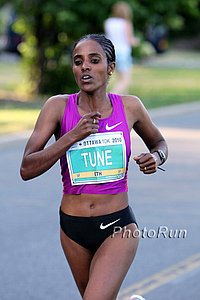 Tune_Dire1-Ottawa10.jpg