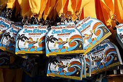 Medals-SanDiego10.JPG