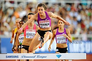 Bridget Franek