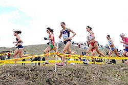 Boulet-HastingsWide-WXC10.jpg