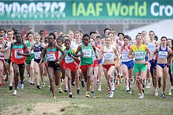 JuniorW-Leaders1-WXC10.jpg