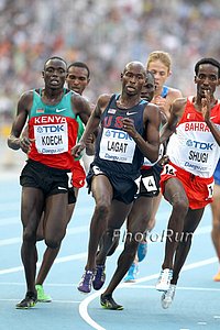 Bernard Lagat In Heats