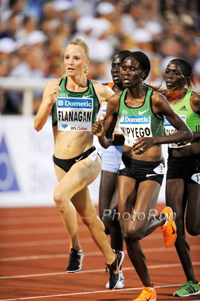 download shalane flanagan download shalane flanagan