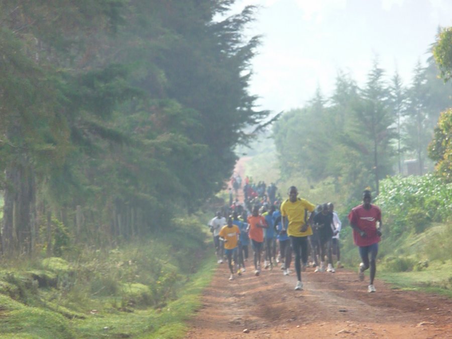 Lots of runners