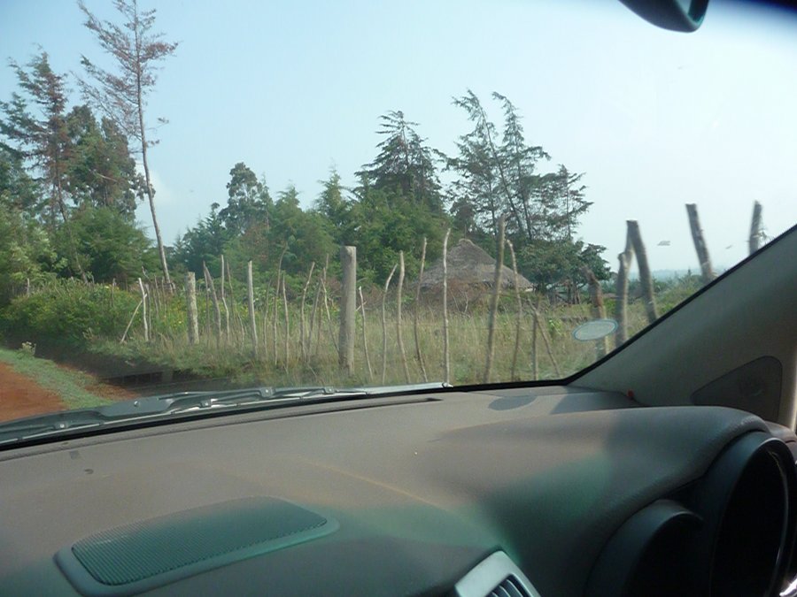 A local hous/hut.