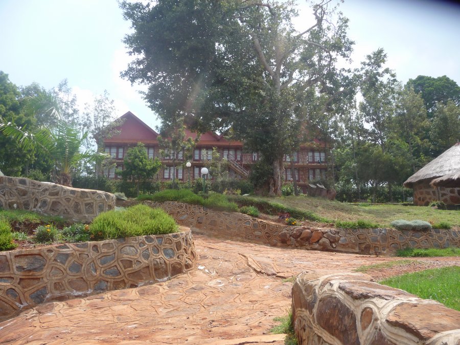 The Kiero View