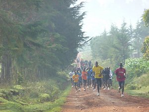 Lots of runners